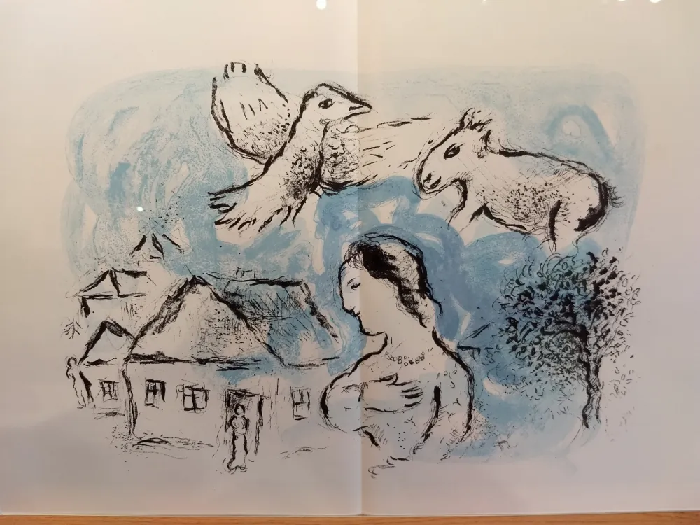 Geïllustreerd Boek Chagall - DLM 225