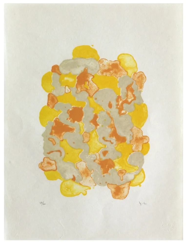 Lithografie Chaudouët - Lichens 7