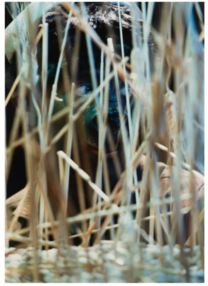 Fotografie Cindy - Untitled (from The Portfolio for Joseph Beuys)