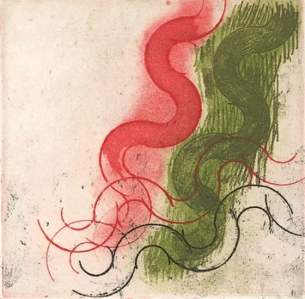 Geïllustreerd Boek Ciussi - Es - fragmenta