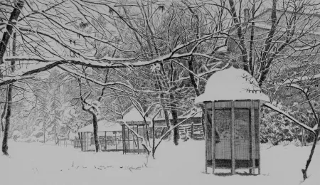 Ets Cotugno  - Gennaio. Isola Carolina