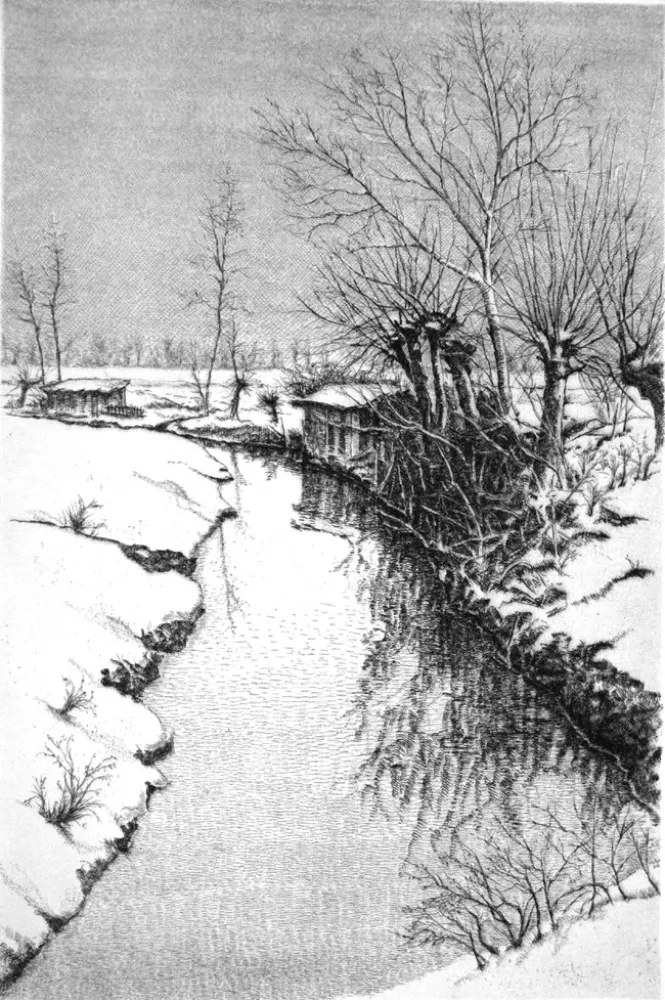 Ets Cotugno  - Il Sillaro