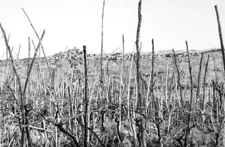 Ets Cotugno  - Rovescala