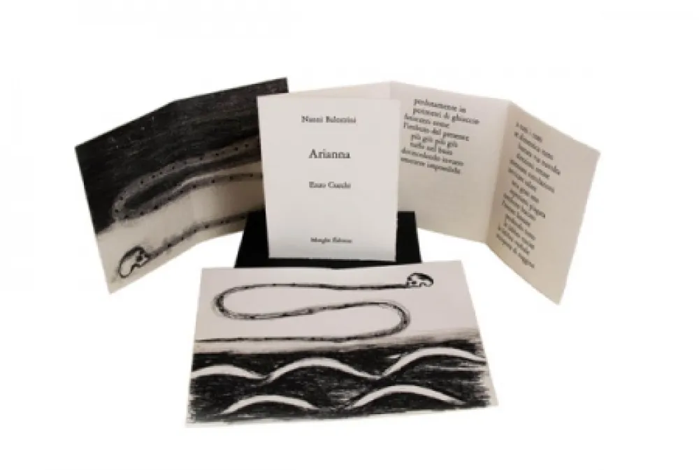 Geïllustreerd Boek Cucchi - Arianna