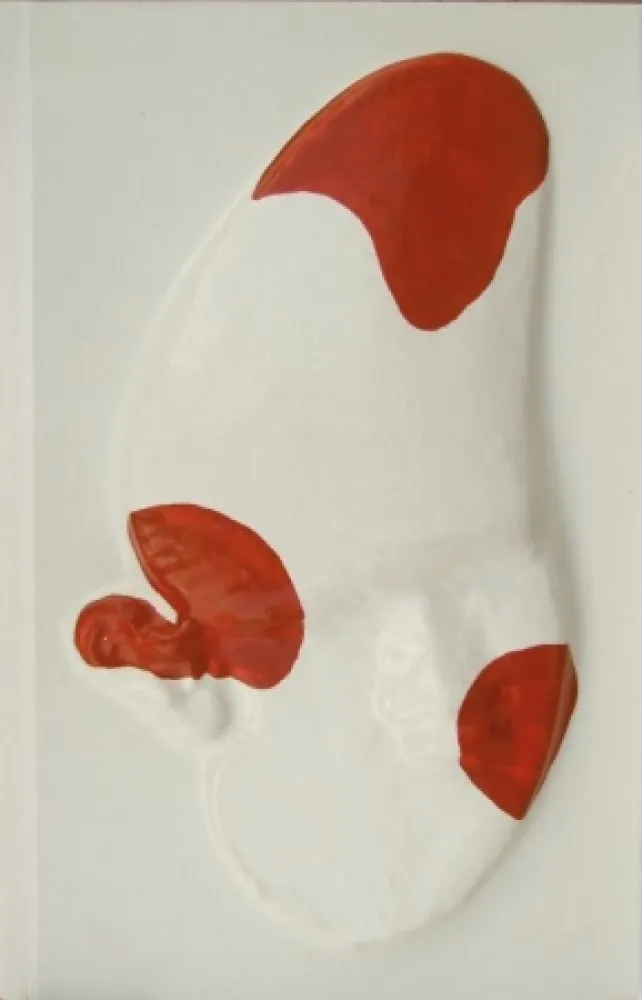 Geïllustreerd Boek Cucchi - La grande scimmia