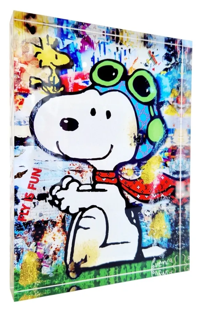 Digitale Print Cuencas - Snoopy fly is fun