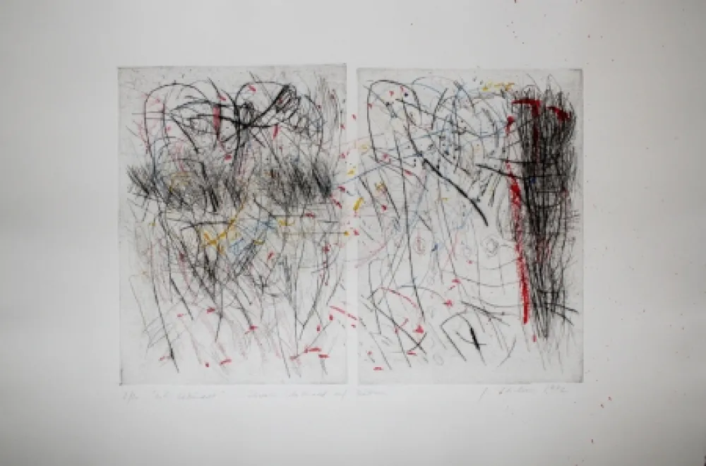 Droge Naald Czichon - O.I. Gebündelt