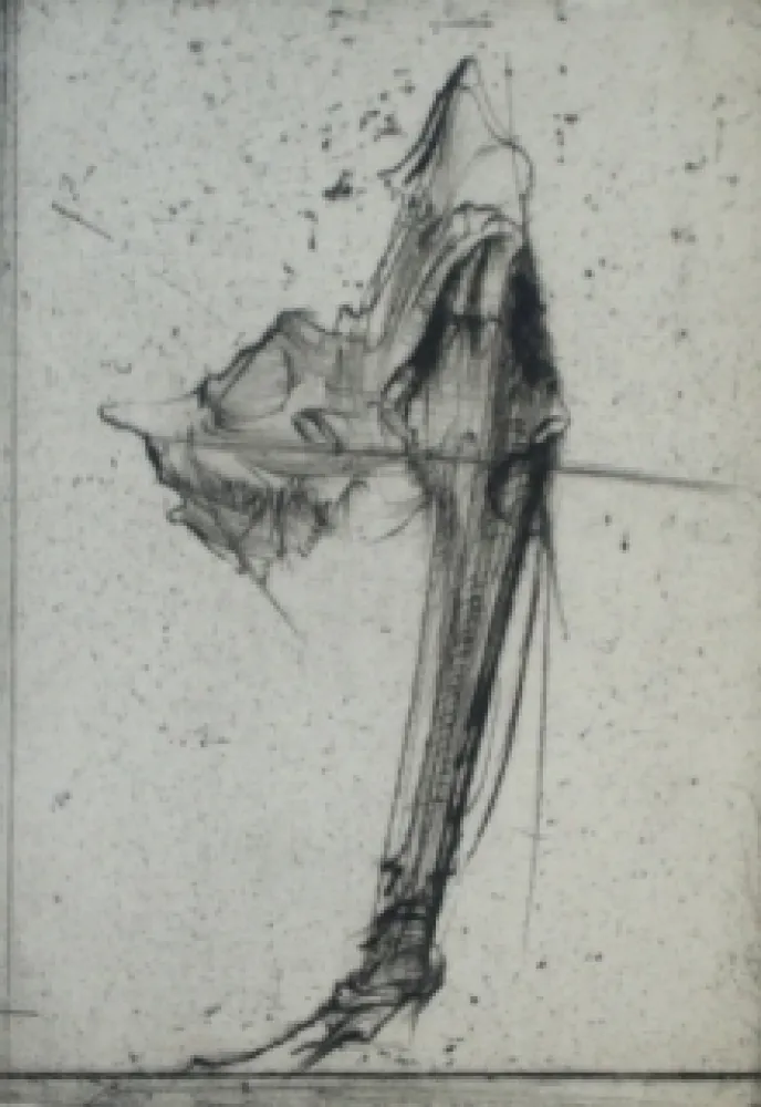 Ets Dado - Sans titre