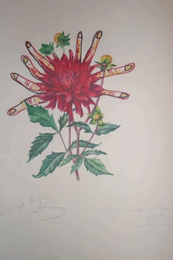 Lithografie Dali - Dahlias of Dalí (surrealistic flowers)