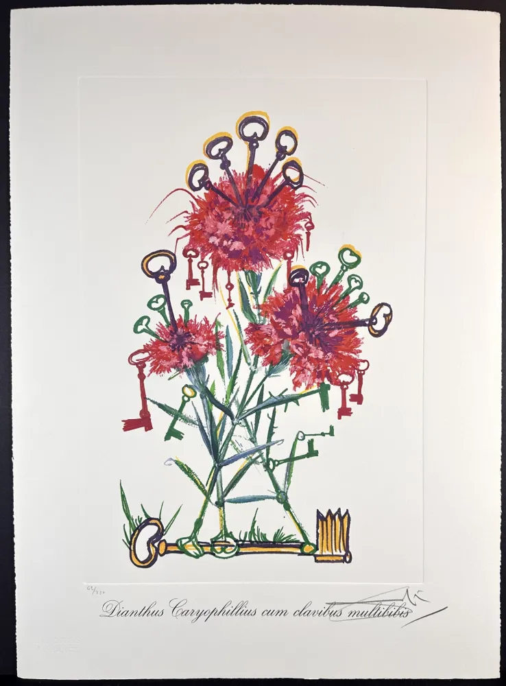 Gravure Dali - Florals Carnation Keys