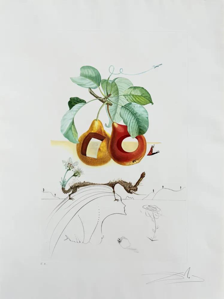 Lithografie Dali - Holed Fruit from Flordali suite
