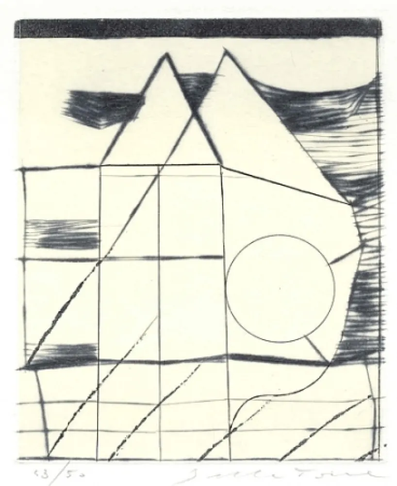 Geïllustreerd Boek Della Torre - Immagini riflesse