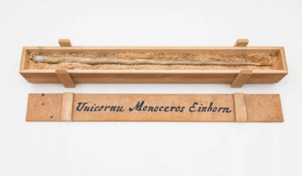 Multiple Dion - My Most Priceless Treasure (unicorn)