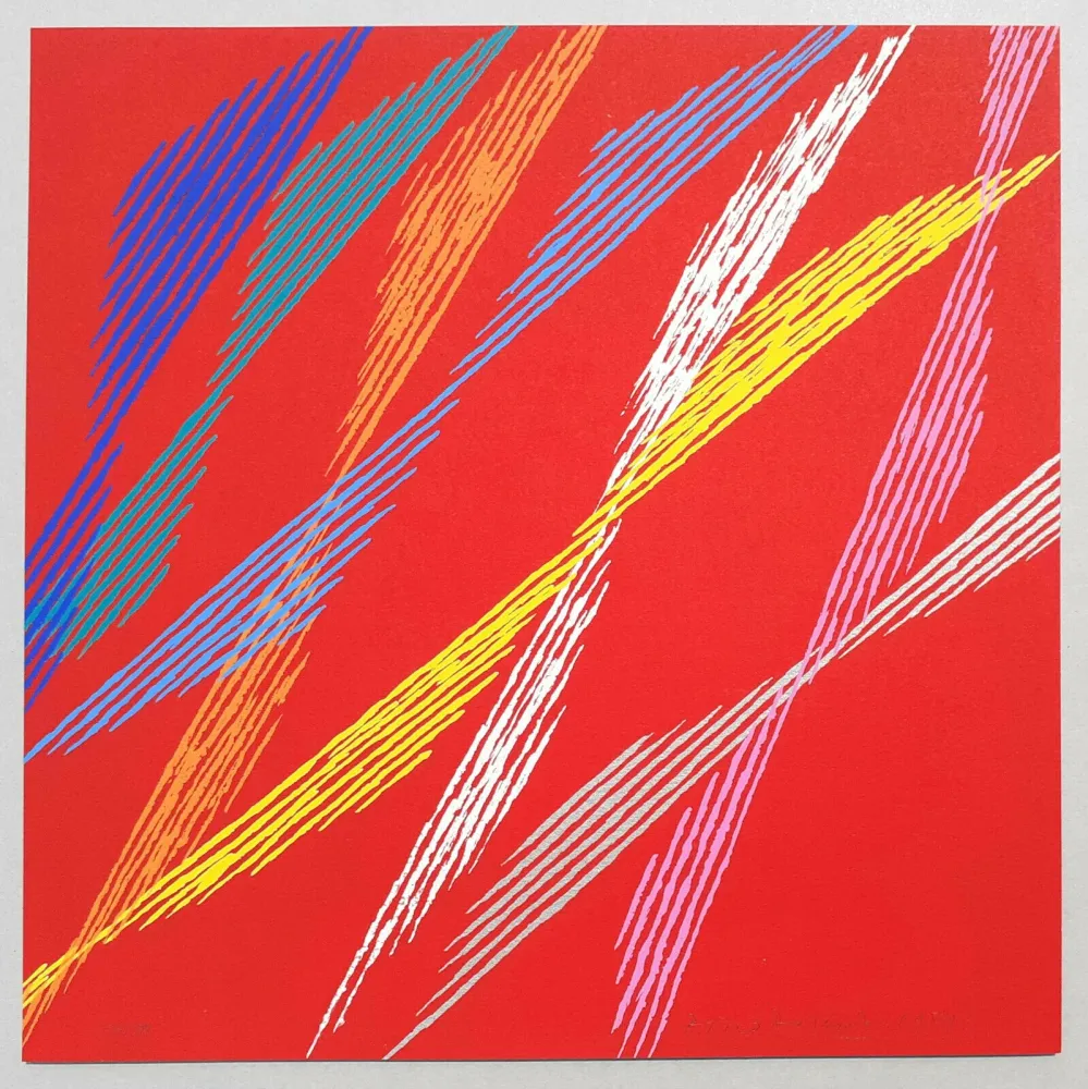 Zeefdruk Dorazio - Composizione C