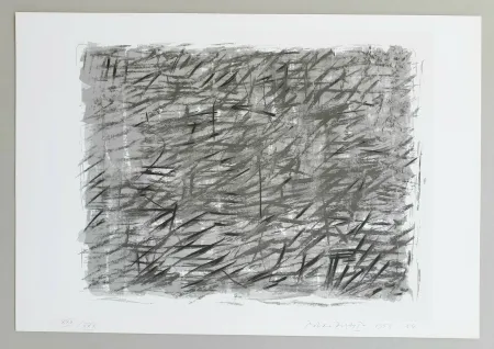 Zeefdruk Dorazio - Disegno