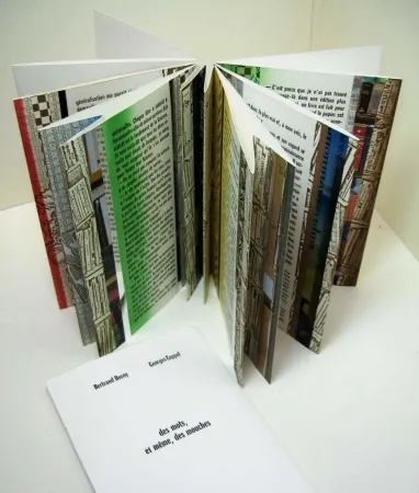 Geïllustreerd Boek Dorny - Des mots, et meme, des mouches 