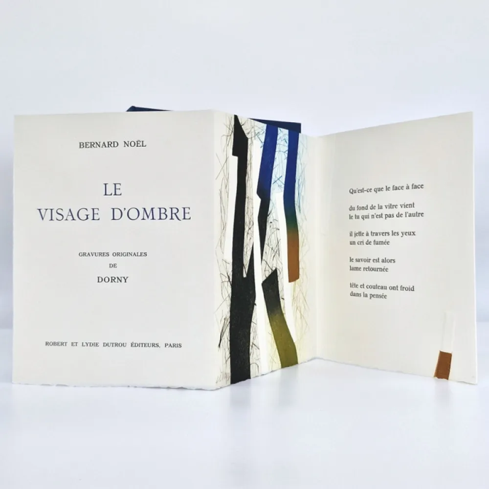 Geïllustreerd Boek Dorny - Le visage d'ombre