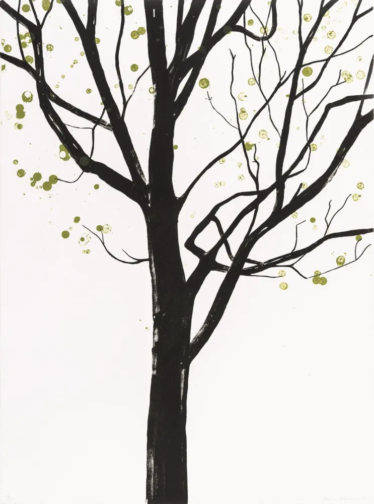 Lithografie Drummond - Cathedral