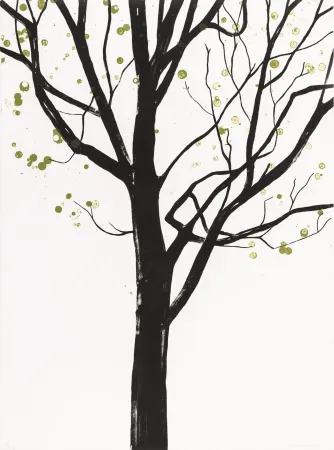 Lithografie Drummond - Cathedral