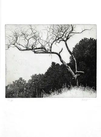 Geïllustreerd Boek Dugo - Poco prima del temporale