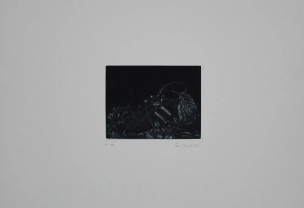 Mezzotint Ebert - Turnschuh
