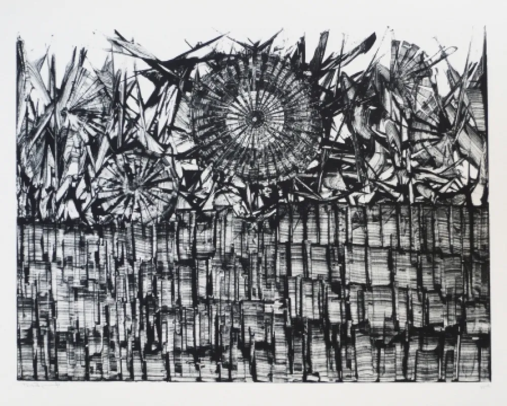 Lithografie Ernst - Terra Incognita 4