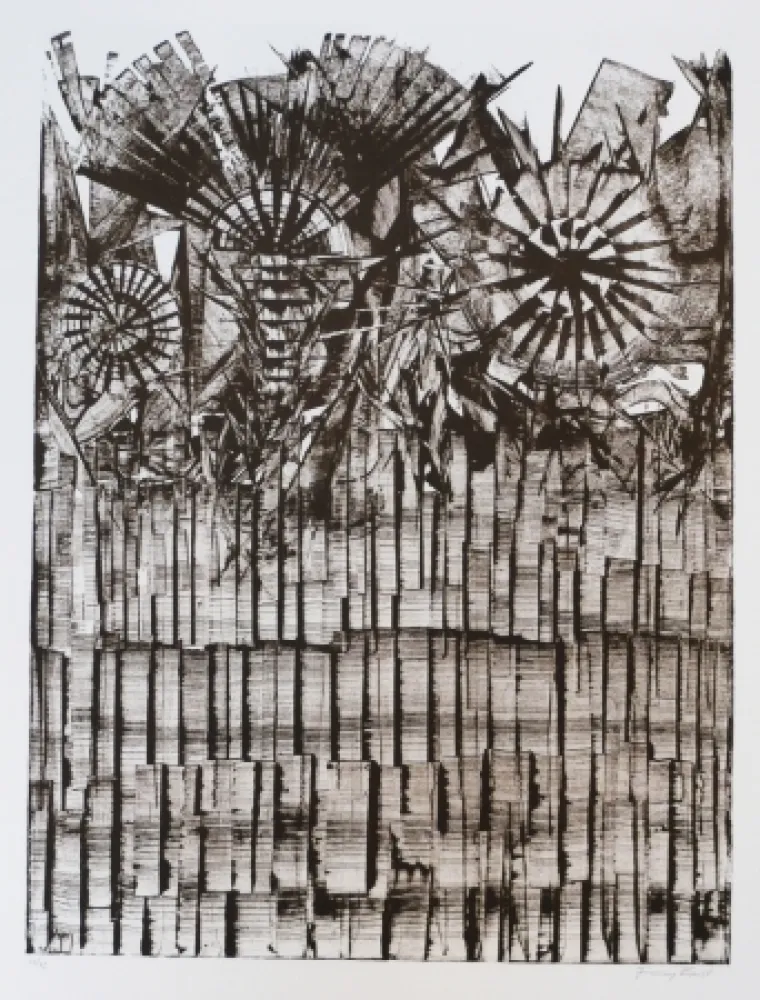 Lithografie Ernst - Terra Incognita 9