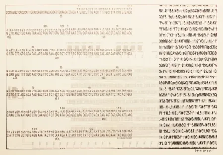 Zeefdruk Export - Selbstporträt (Self Portrait)