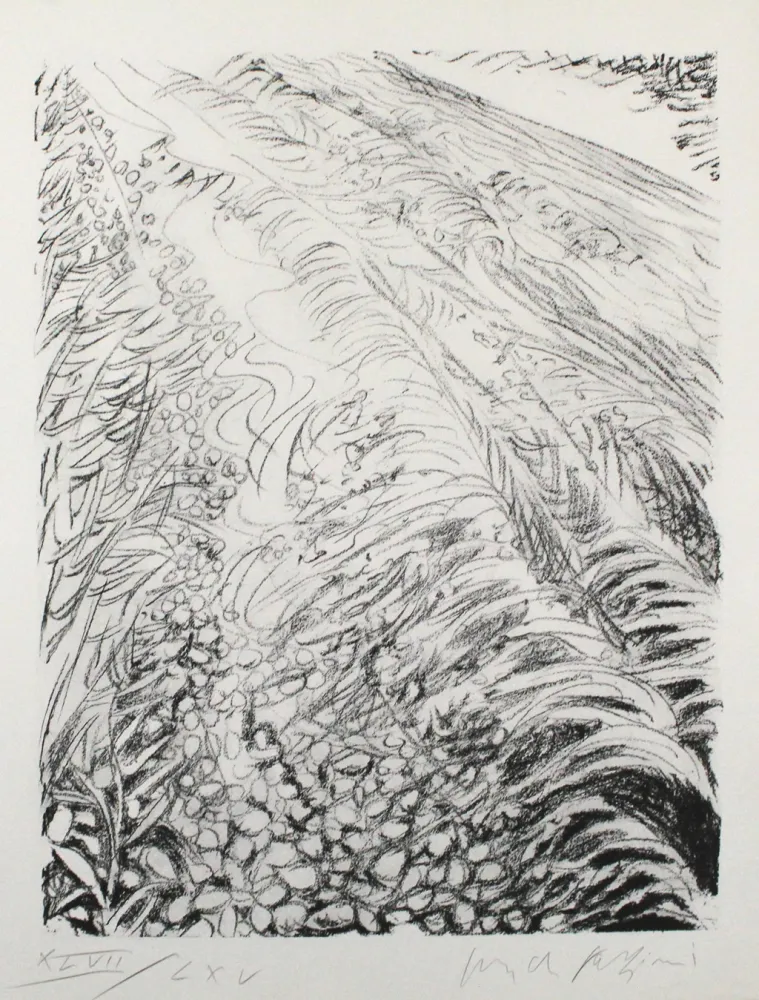 Lithografie Fazzini - Field