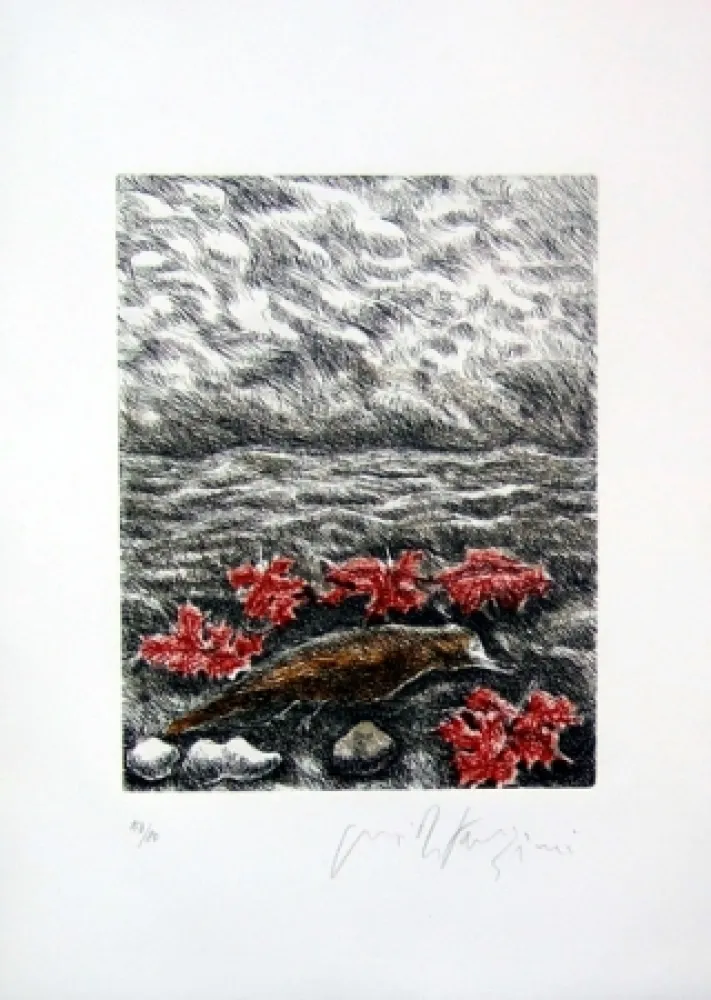 Geïllustreerd Boek Fazzini - Gabbiani