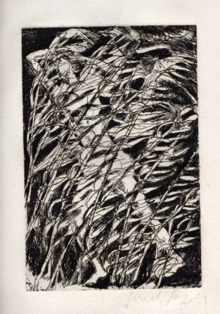 Geïllustreerd Boek Fazzini - Inni