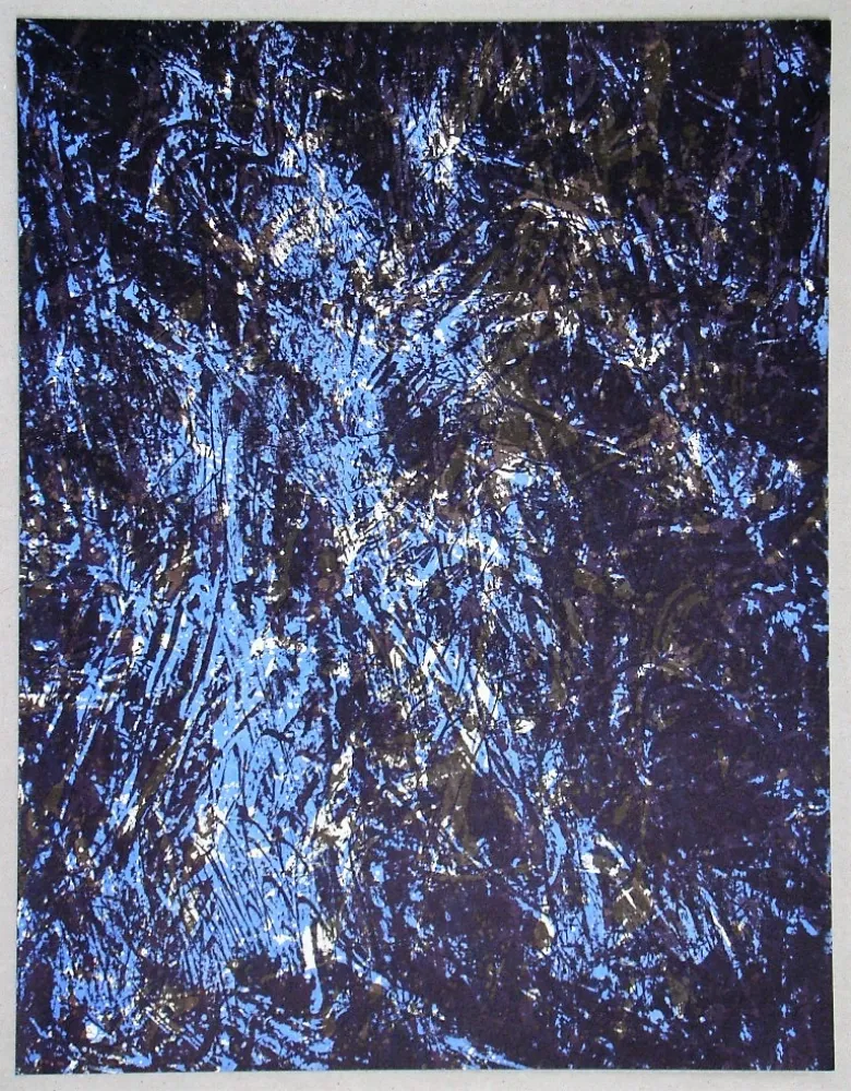 Lithografie Fiedler - Lithograph pour XXe Siècle