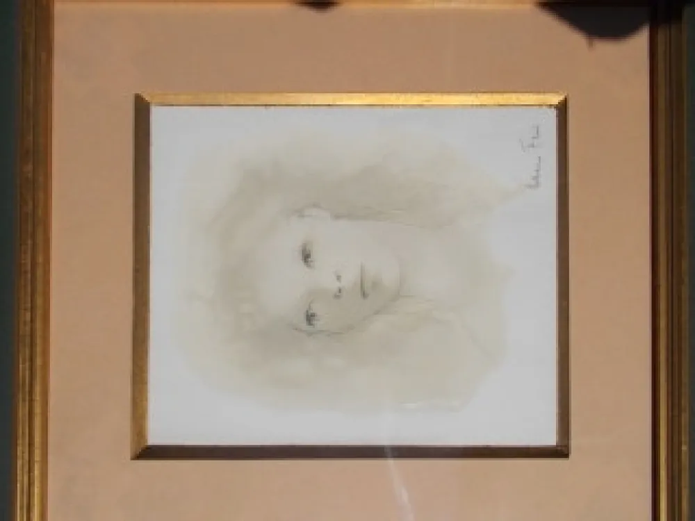 Droge Naald Fini - Le visage