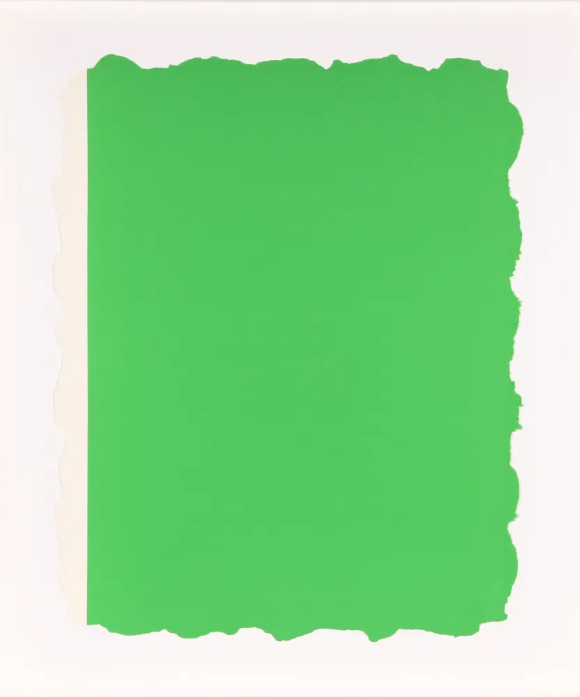 Aquatint Flavin - Untitled, from Sequences - Green