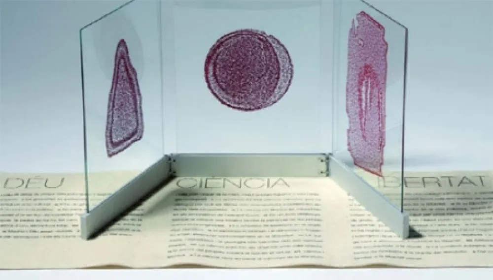 Geïllustreerd Boek Fontcuberta - Deu, ciència i llibertat