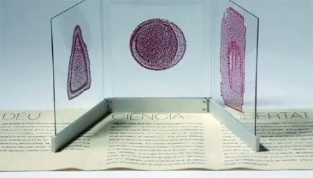 Geïllustreerd Boek Fontcuberta - Deu, ciència i llibertat