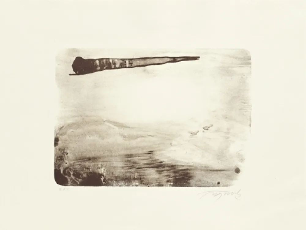 Lithografie Fontela - Palm