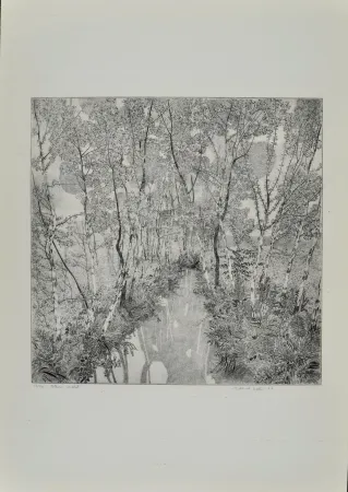 Ets Galli - Alberi malati