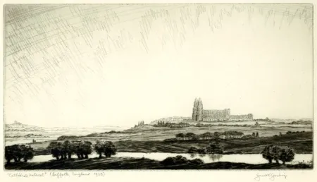 Droge Naald Geerlings - Cathédrale Naturelle