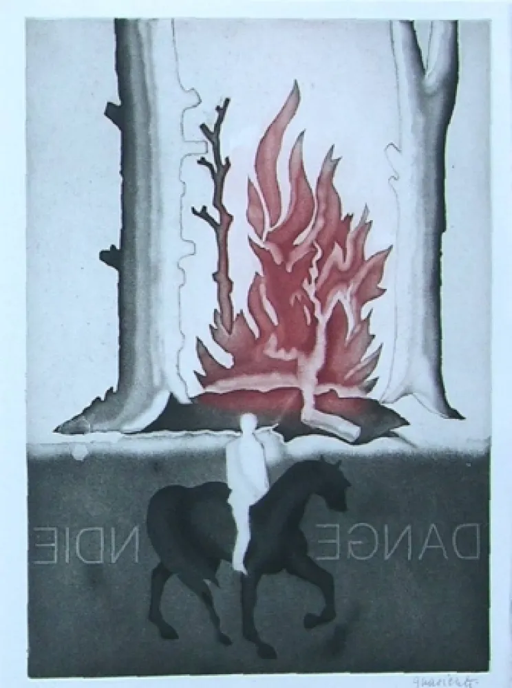 Geïllustreerd Boek Guarienti - Crachefeu