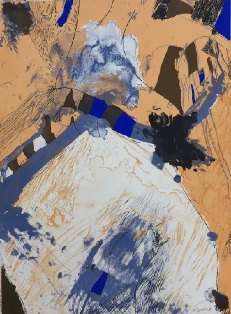 Lithografie Guinovart - Com muntanya