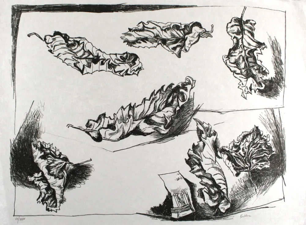 Lithografie Guttuso - Foglie