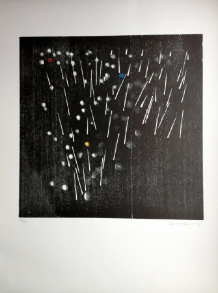 Houtsnede Hartung - H 13