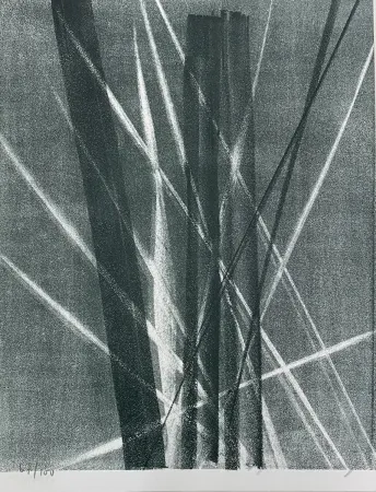 Lithografie Hartung - Hans Arp