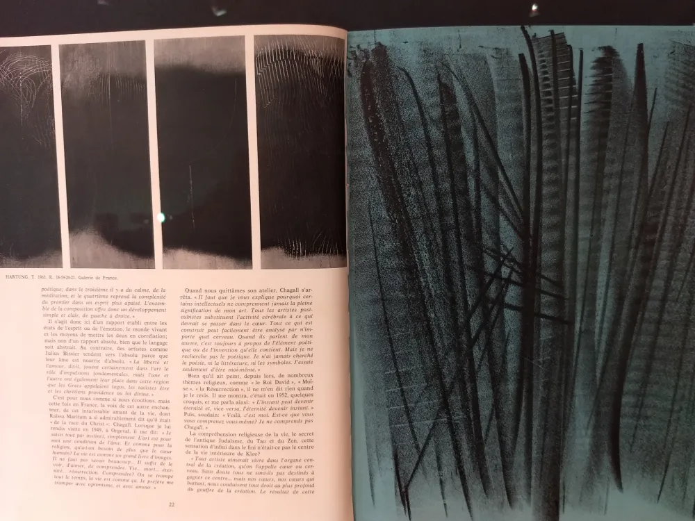 Geïllustreerd Boek Hartung - XXE No 24