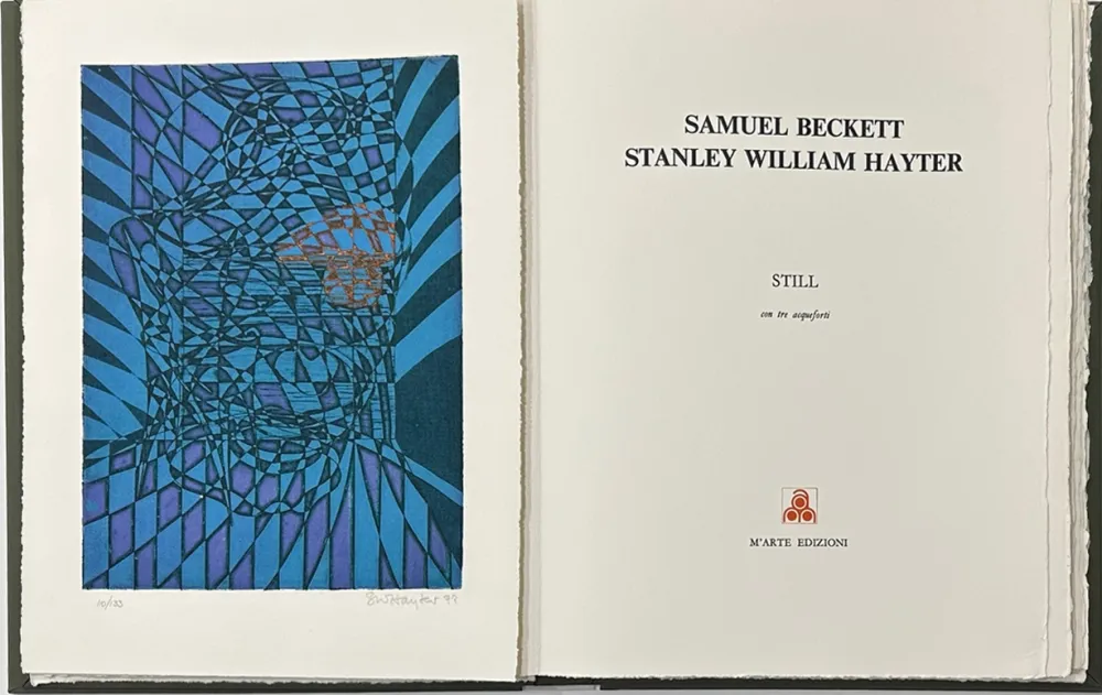 Geïllustreerd Boek Hayter - Still