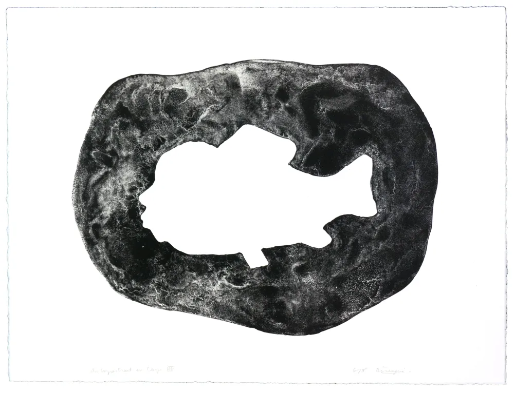 Lithografie Henin - Auportrait en carpe VIII