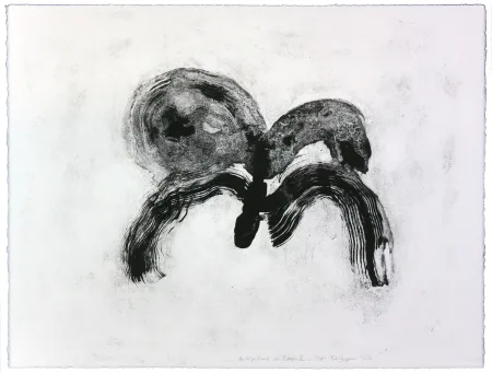 Lithografie Henin - Auportrait en carpe X