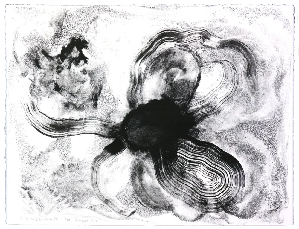 Lithografie Henin - Auportrait en carpe XIII