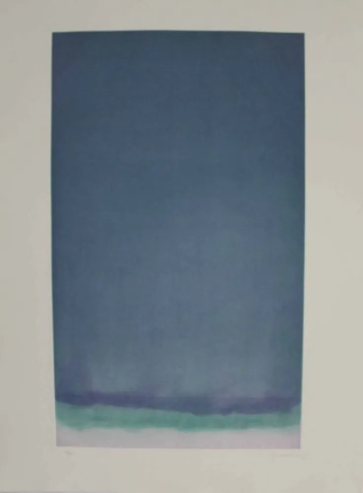 Ets En Aquatint Hernandez Pijuan - HP 17